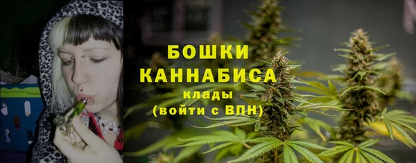 spice Зеленодольск